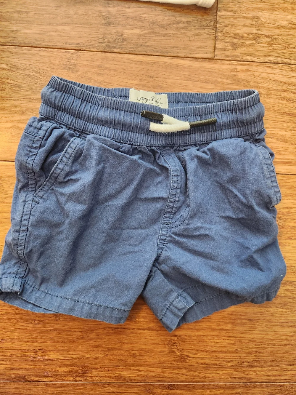 Baby Boys Hiking Buddy Bodysuit Onesie & Blue Drawstring Shorts, 12-18 Months